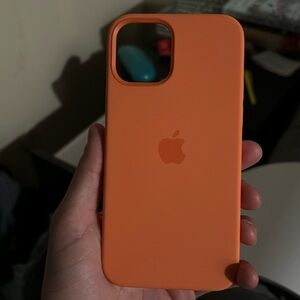 Tangerine orange Apple iPhone 13 Pro Max case🍊